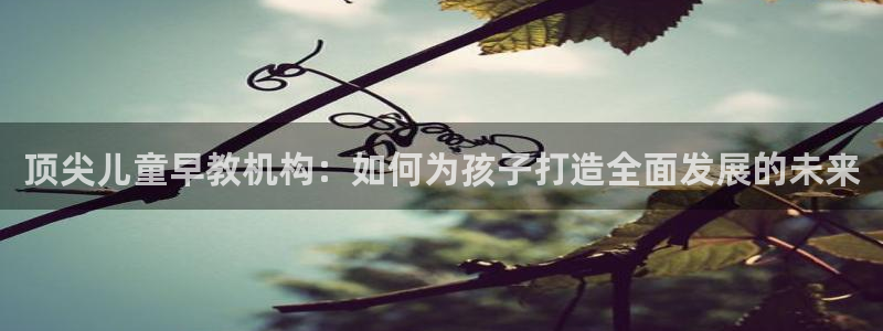 天顺娱乐主管方是谁呀：顶尖儿童早教机构：如何为孩子打造全面发展的未来