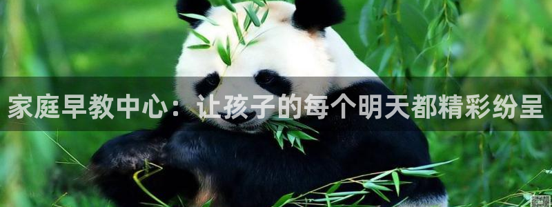 天顺娱乐渭32oo59涌反：家庭早教中心：让孩子的每个明天都精彩纷呈