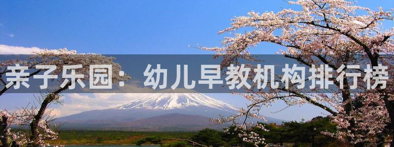 天顺娱乐樟78778：亲子乐园：幼儿早教机构排行榜