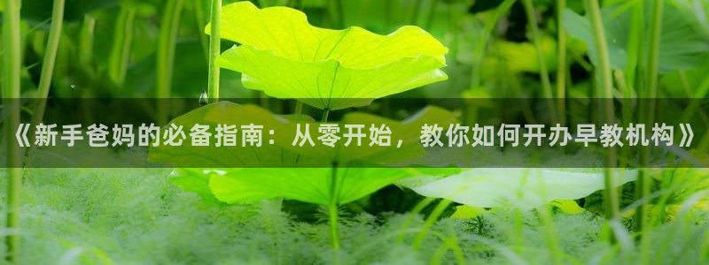 天顺娱乐乞v96303：《新手爸妈的必备指南：从零开始，教你如何开办早教机构》