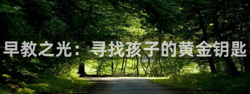 天顺娱乐每333OO：早教之光：寻找孩子的黄金钥匙