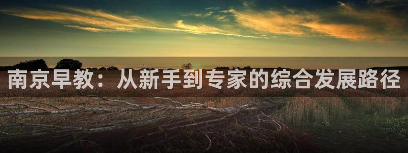 天顺娱乐来q96303：南京早教：从新手到专家的综合发展路径
