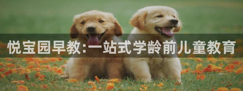 天顺娱乐塘33300j：悦宝园早教:一站式学龄前儿童教育