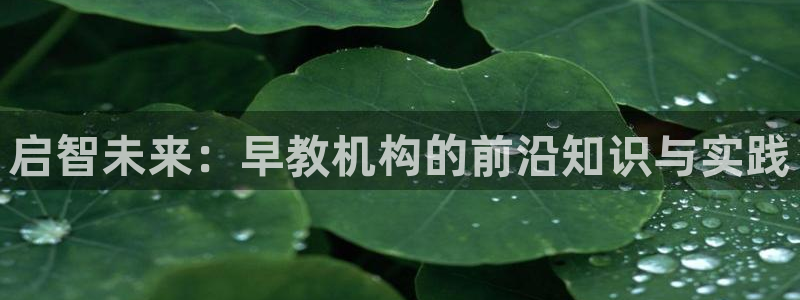 天顺娱乐底943994：启智未来：早教机构的前沿知识与实践