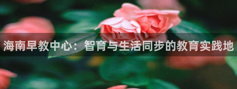 娱乐聊天顺口溜怎么说的：海南早教中心：智育与生活同步的教育实践地