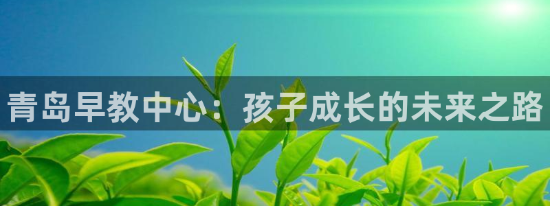 天顺娱乐13d判官333OO：青岛早教中心：孩子成长的未来之路