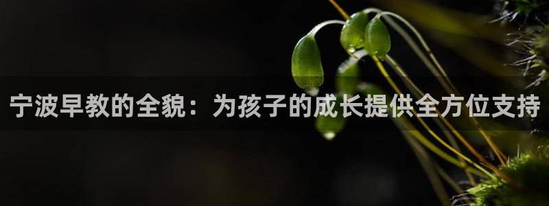 天顺娱乐黎墙判p29999：宁波早教的全貌：为孩子的成长提供全方位支持