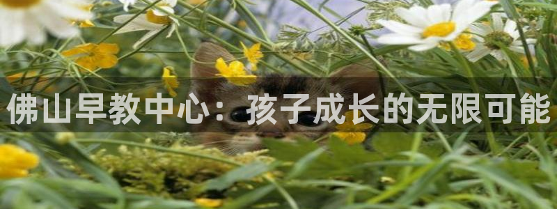 天顺娱乐汾78778：佛山早教中心：孩子成长的无限可能