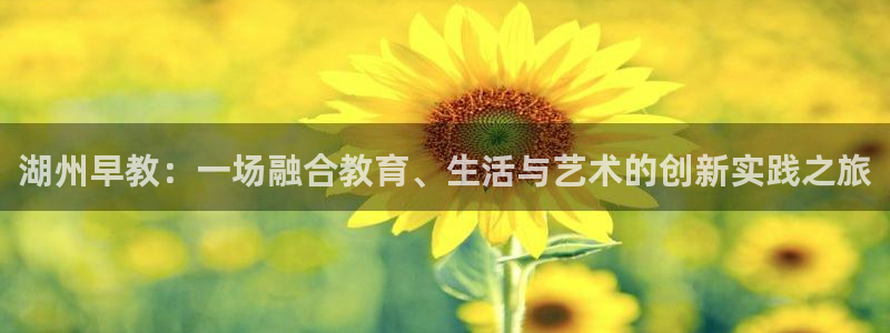 天顺娱乐在线注册：湖州早教：一场融合教育、生活与艺术的创新实践之旅