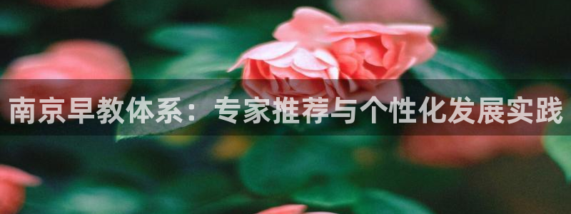 天顺娱乐负责人风邙pg29999：南京早教体系：专家推荐与个性化发展实践