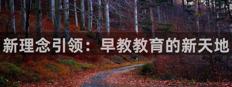 天顺娱乐注册里面 79270k：新理念引领：早教教育的新天地