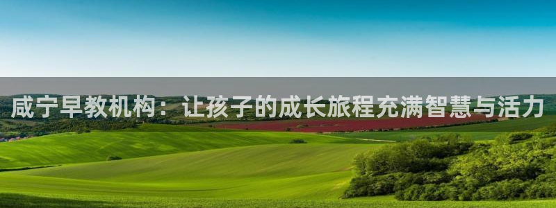 天顺娱乐谖78778：咸宁早教机构：让孩子的成长旅程充满智慧与活力