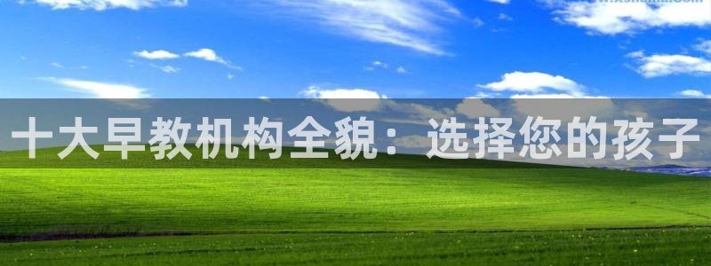 天顺娱乐入见pg22650：十大早教机构全貌：选择您的孩子