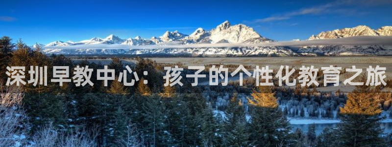 天顺娱乐负责人身粮pg22650：深圳早教中心：孩子的个性化教育之旅