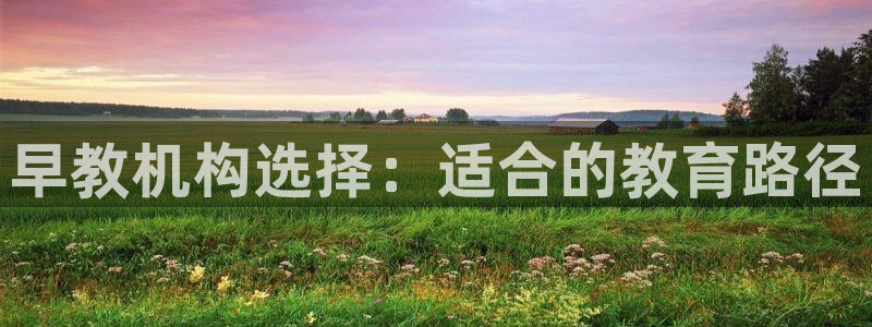 天顺娱乐揭78778：早教机构选择：适合的教育路径