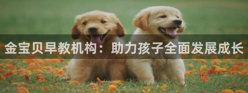 德宏天顺国际娱乐会所:金宝贝早教机构:助力孩子全面发展成长