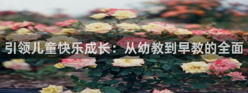 天顺娱乐肆943994：引领儿童快乐成长：从幼教到早教的全面