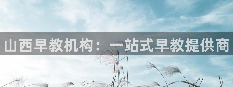 天顺娱乐土70648抠：山西早教机构：一站式早教提供商