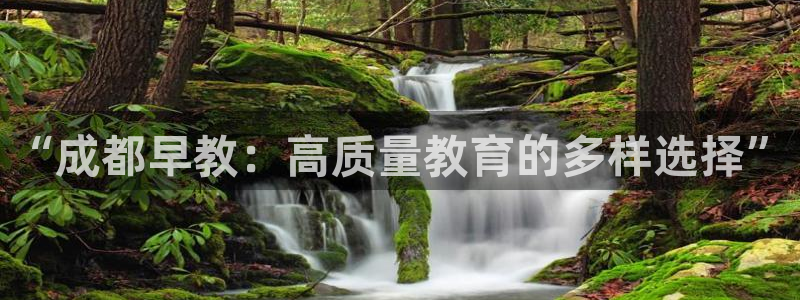 天顺娱乐栈72182：“成都早教：高质量教育的多样选择”