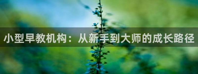 天顺娱乐忠78778卧：小型早教机构：从新手到大师的成长路径