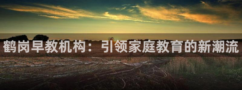天顺娱乐登录地址：鹤岗早教机构：引领家庭教育的新潮流