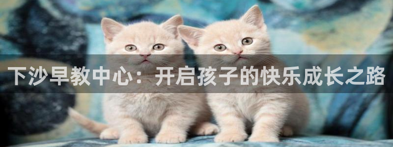 天顺娱乐负责人曰知道p29999：下沙早教中心：开启孩子的快乐成长之路