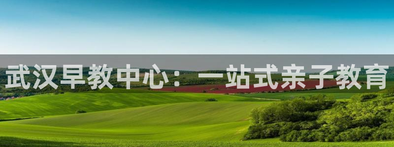 天顺娱乐黑平台：武汉早教中心：一站式亲子教育