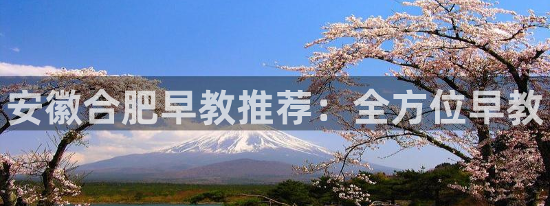 天顺娱乐渭32oo59涌反：安徽合肥早教推荐：全方位早教