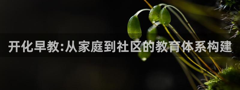天顺娱乐登陆地址：开化早教:从家庭到社区的教育体系构建