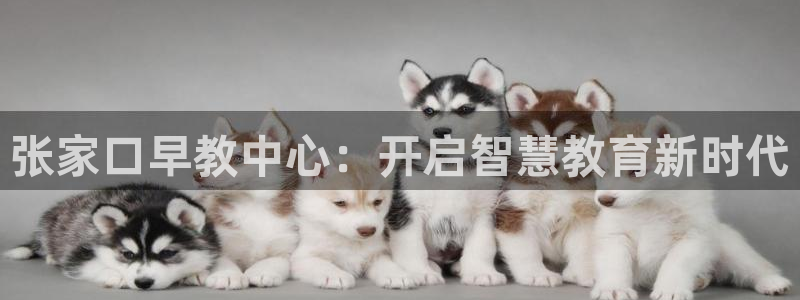 天顺娱乐的943994：张家口早教中心：开启智慧教育新时代