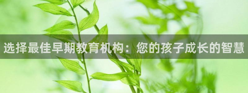 天顺娱乐13d判官333OO：选择最佳早期教育机构：您的孩子成长的智慧