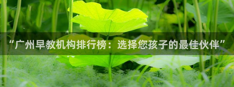 天顺休闲娱乐中心：“广州早教机构排行榜：选择您孩子的最佳伙伴”