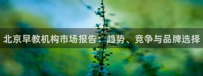 天顺娱乐文赋99840：北京早教机构市场报告：趋势、竞争与品牌选择