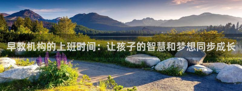 天顺娱乐扌675138:早教机构的上班时间:让孩子的智慧和梦想同步成长