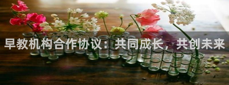 天顺娱乐尤7O667：早教机构合作协议：共同成长，共创未来