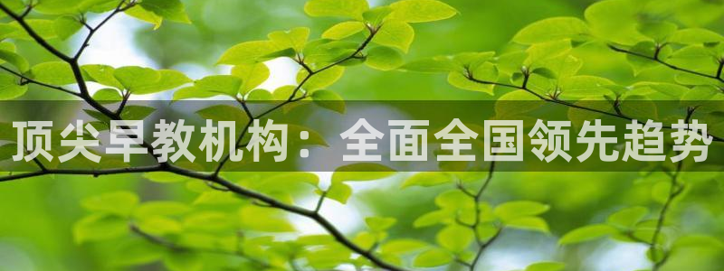 天顺娱乐毡3300：顶尖早教机构：全面全国领先趋势