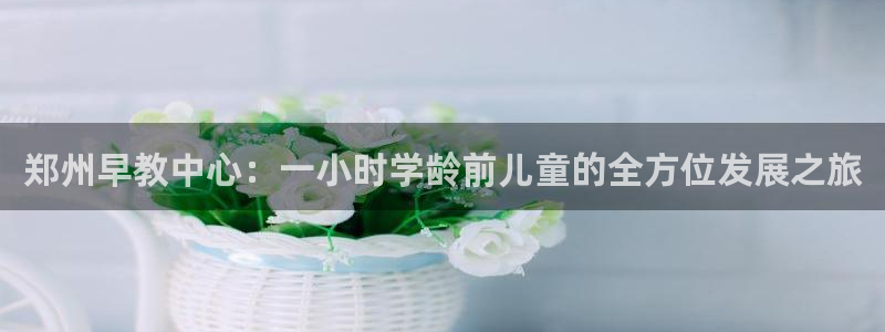 天顺娱乐总代理是谁呀：郑州早教中心：一小时学龄前儿童的全方位发展之旅