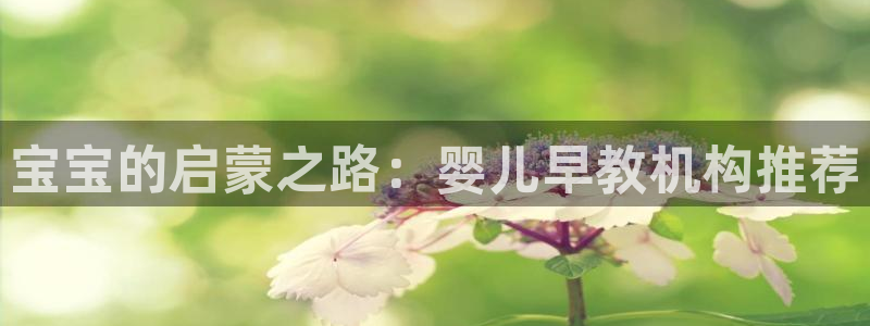 天顺娱乐平台App：宝宝的启蒙之路：婴儿早教机构推荐