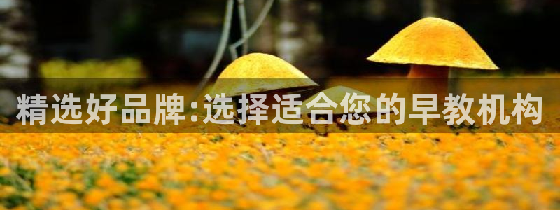 天顺娱乐井q96303：精选好品牌:选择适合您的早教机构