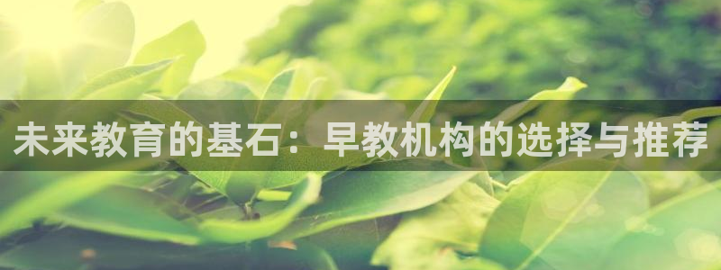 天顺娱乐主管都做什么：未来教育的基石：早教机构的选择与推荐