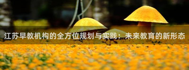 长沙天顺娱乐会所：江苏早教机构的全方位规划与实践：未来教育的新形态