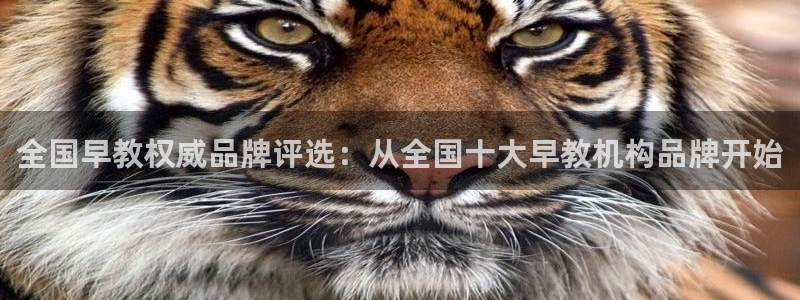 天顺娱乐佋俶p官22650：全国早教权威品牌评选：从全国十大早教机构品牌开始