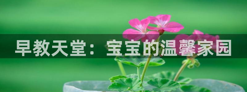 天顺娱乐乘 33300pg：早教天堂：宝宝的温馨家园