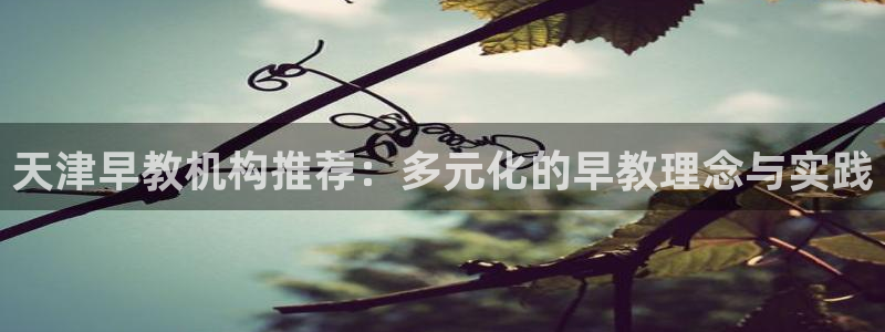 天顺娱乐选 主管39977l6：天津早教机构推荐：多元化的早教理念与实践
