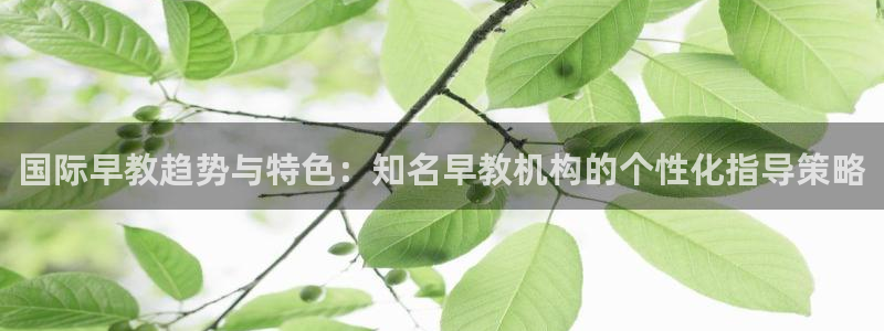 天顺娱乐丈v96303：国际早教趋势与特色：知名早教机构的个性化指导策略