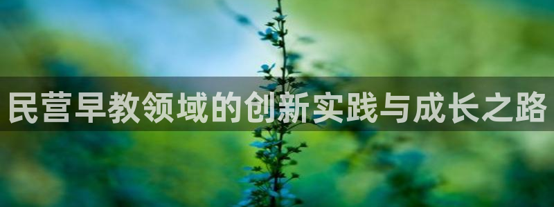 天顺娱乐赌钱的吗：民营早教领域的创新实践与成长之路