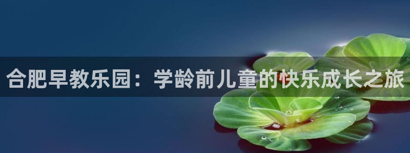 德宏州天顺娱乐:合肥早教乐园:学龄前儿童的快乐成长之旅