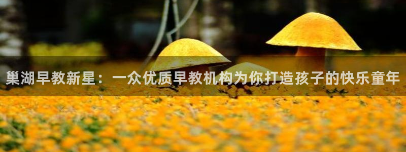 天顺娱乐登录地址:巢湖早教新星:一众优质早教机构为你打造孩子的快乐童年