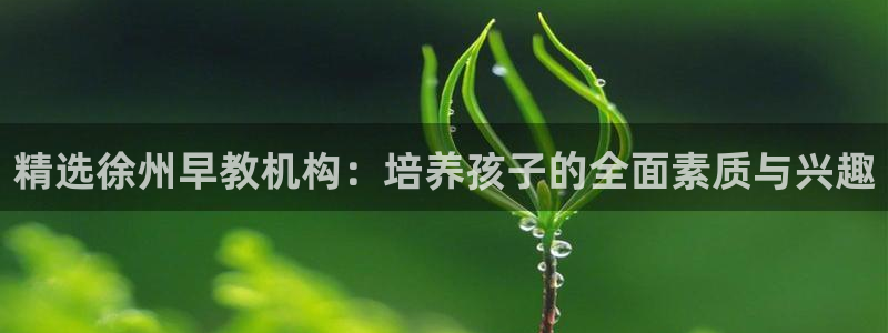 天顺娱乐舞厅在哪里啊：精选徐州早教机构：培养孩子的全面素质与兴趣