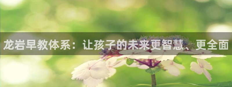 天顺娱乐寐 66 6：龙岩早教体系：让孩子的未来更智慧、更全面